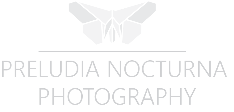 Svatebni fotograf Usti nad Labem, Praha, Brno – Svatebni fotografie | Preludia & Nocturna