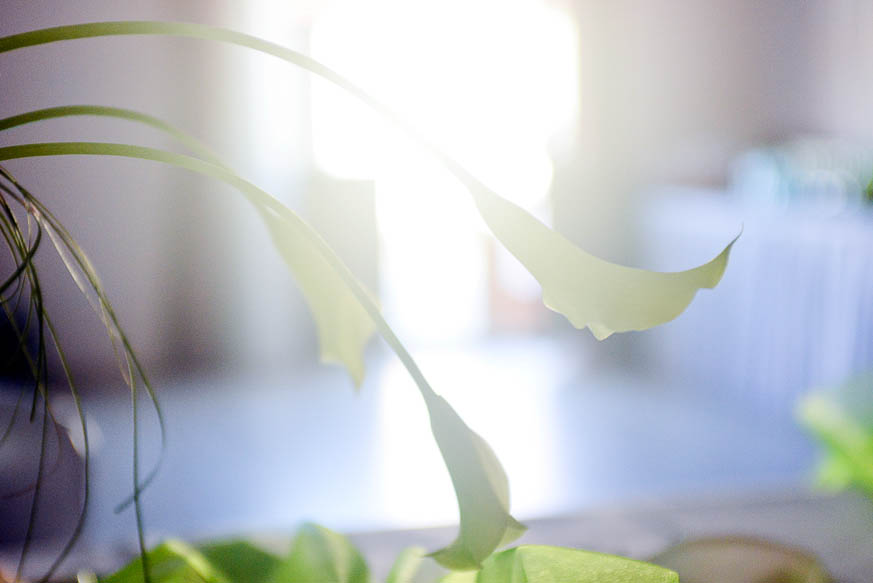 zdenka-michal-svateni-foto-130