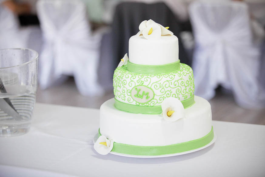 zdenka-michal-svateni-foto-132