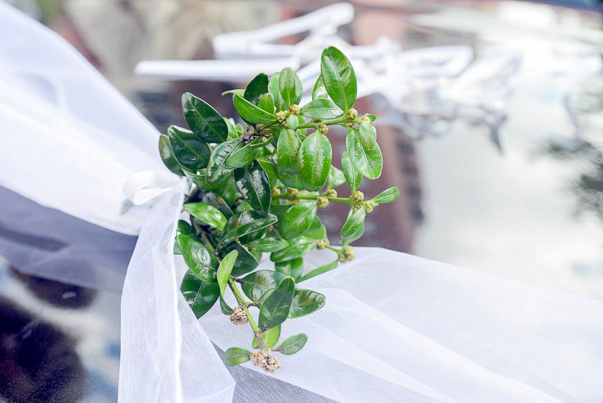 zdenka-michal-svateni-foto-18