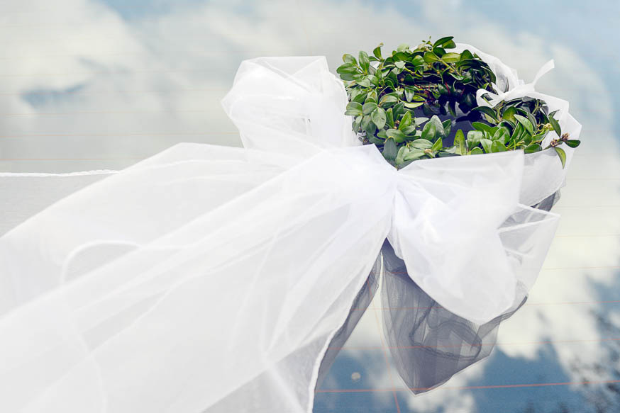 zdenka-michal-svateni-foto-24