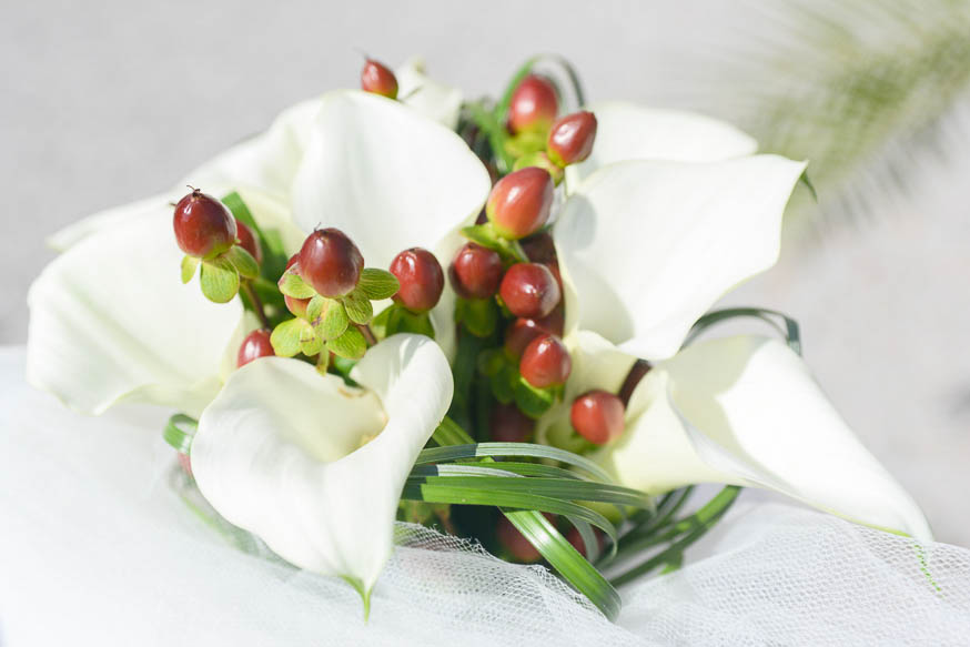 zdenka-michal-svateni-foto-90